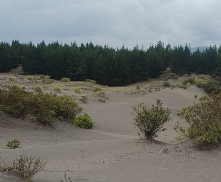 Desierto De Palmira-Chimborazo Province必去景点