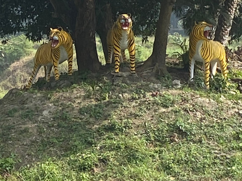 Bangladesh Scenic Tours-达卡市必去景点