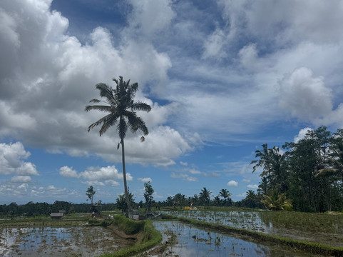 Bali Fun Bike Adventure-Pejeng Kaja必去景点