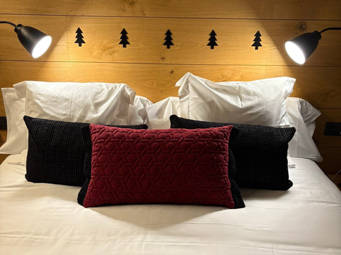 Hotel Xalet Montana主图