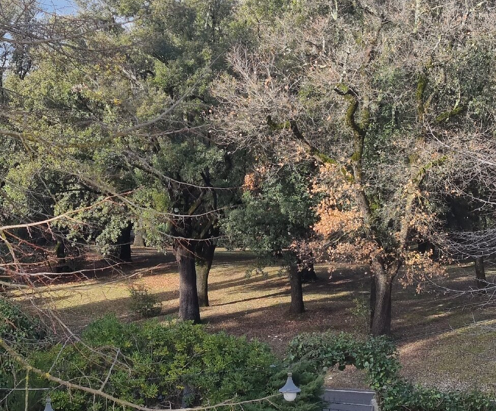 Da Annita Albergo主图