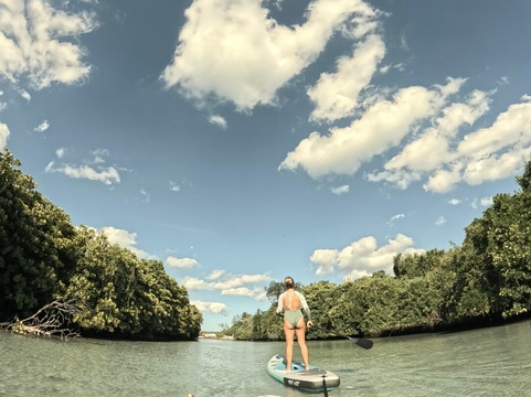 Sud Tropical-蓝湾必去景点