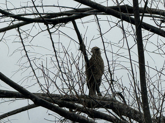 Amazon Experience-伊基托斯必去景点