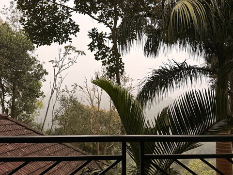 森冠度假村主图