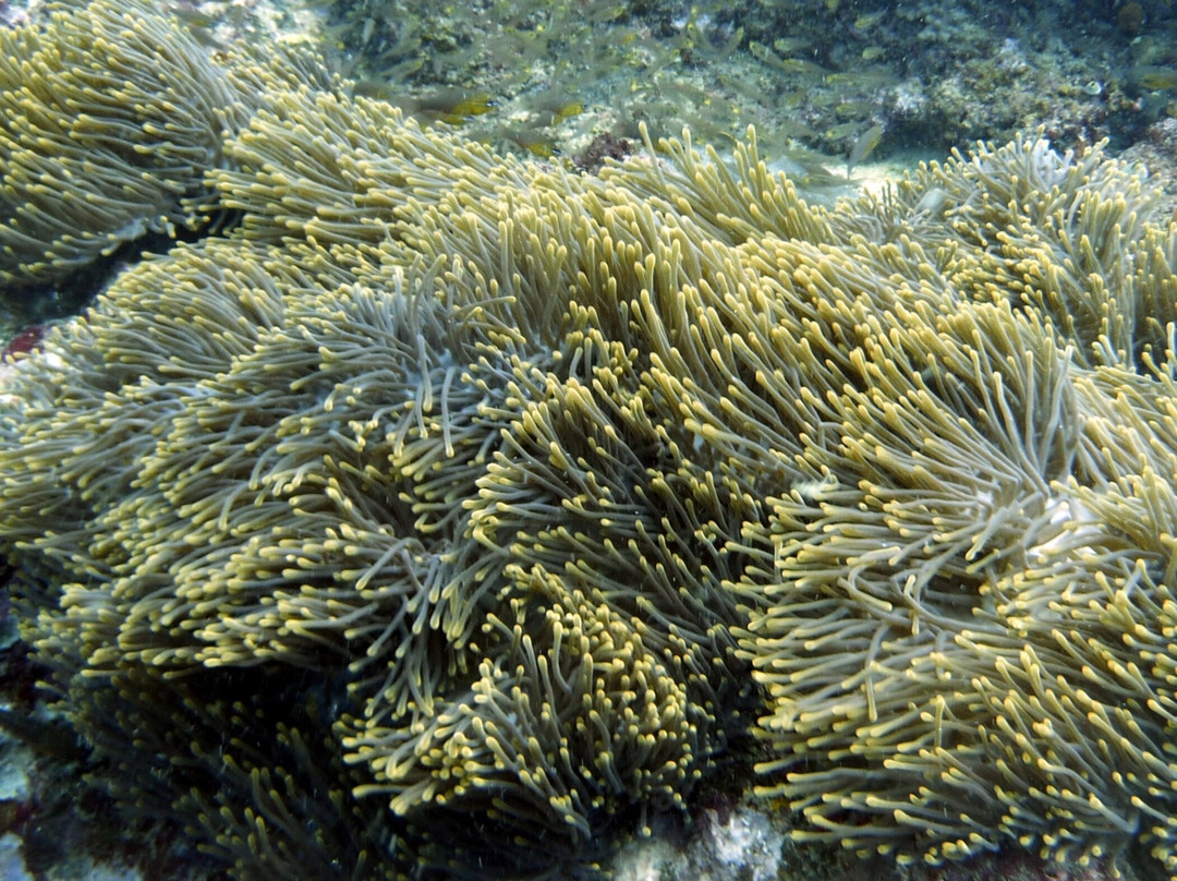 Aqua Ventures-瓦塔木必去景点