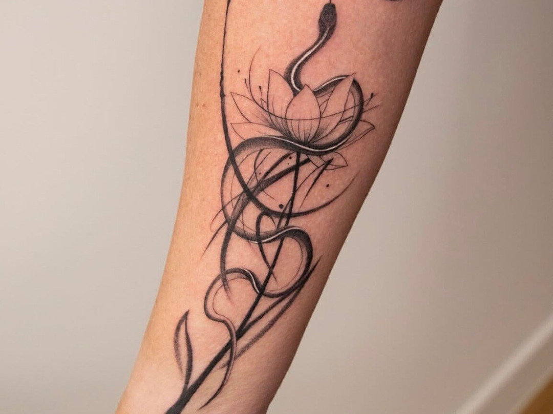 TAG Studio-索尔塔什必去景点