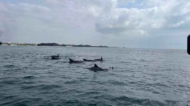 Safari Kenya roberto toba-瓦塔木必去景点