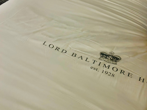 巴尔的摩勋爵酒店主图