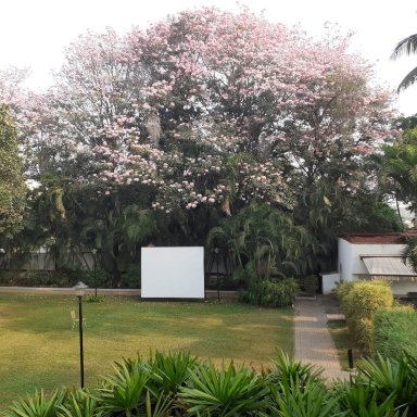 迈索尔南方之星酒店-浴室