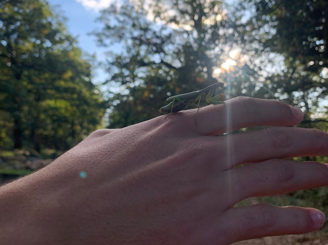 Nboujiw-阿尔及尔必去景点