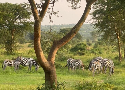 Seven Wonders Safaris-Usa River必去景点