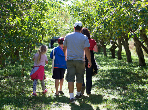 Markham Museum-万锦市必去景点