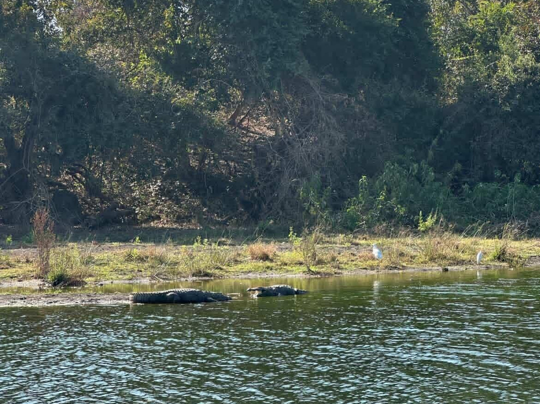 阿尼尔农场吉尔丛林度假村主图