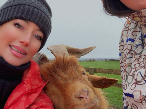 科茨沃尔德农场公园-Kineton必去景点