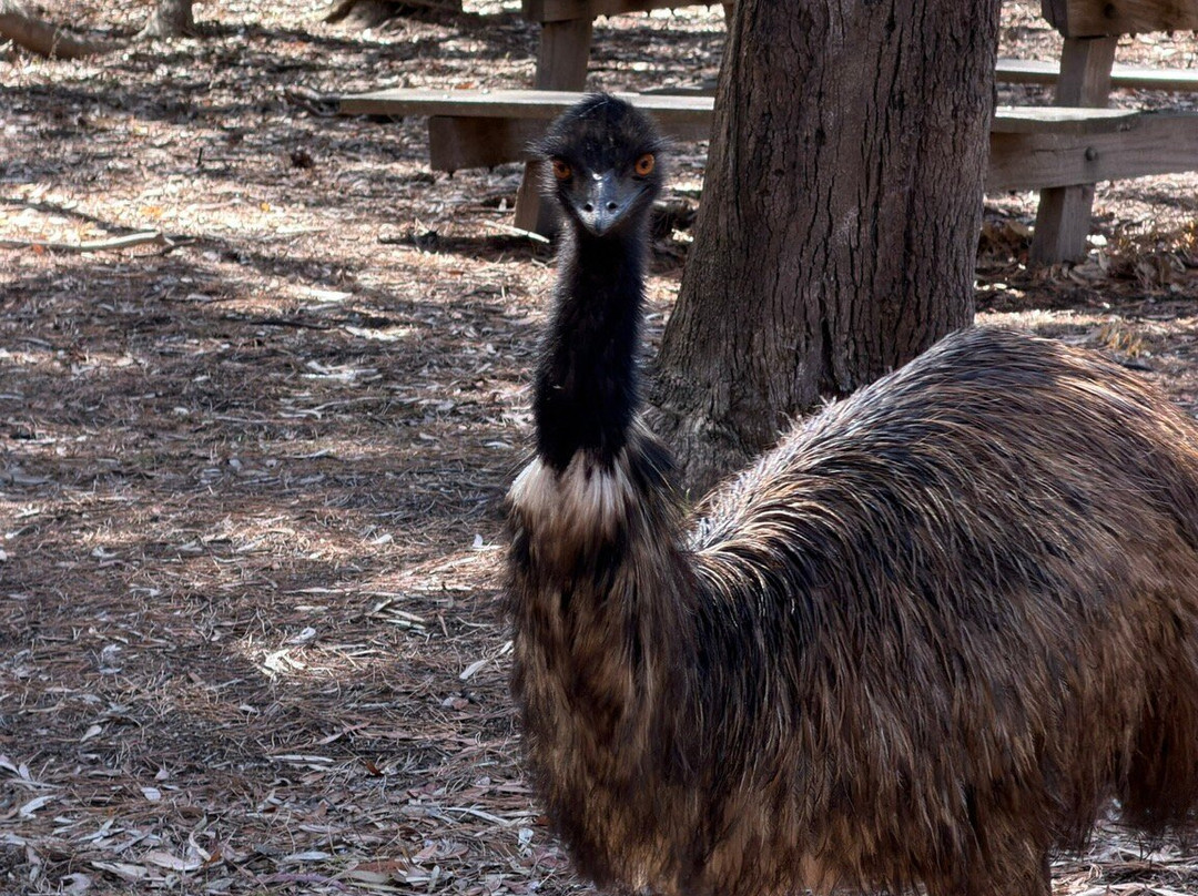 Serendip Sanctuary-Lara必去景点