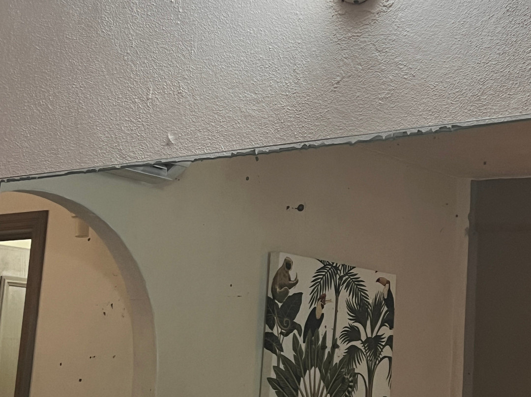 托雷布兰卡海滩酒店和套房瓜亚比托斯 - 含早餐和午餐主图