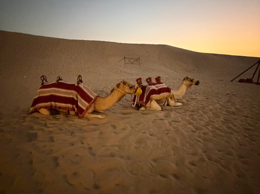 Royal Desert Tourism LLC-阿布扎比必去景点