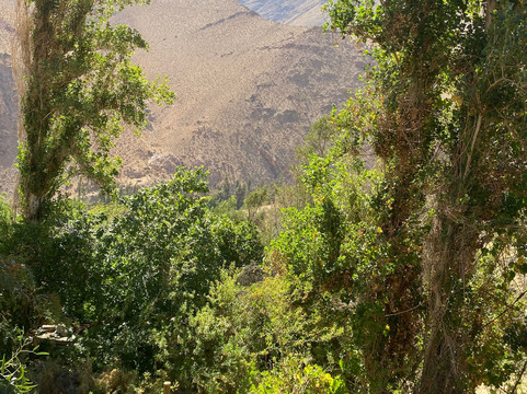 艾尔基德默斯酒店主图