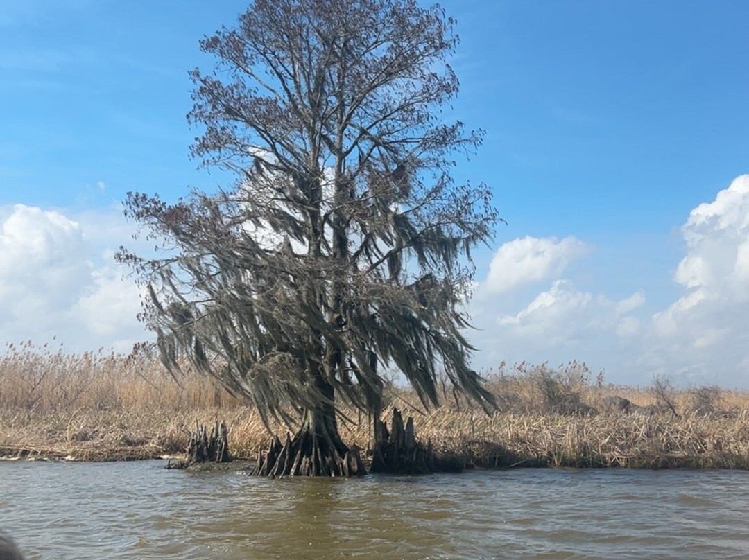 Airboat Express - Tours-Spanish Fort必去景点