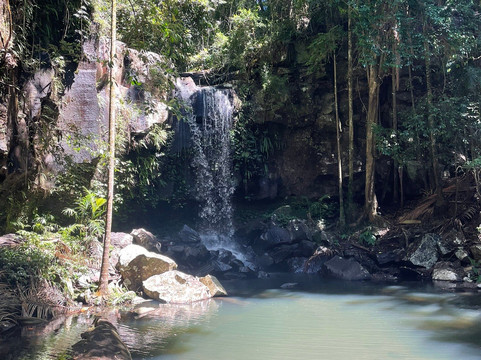 Curtis Falls-丹百林山必去景点
