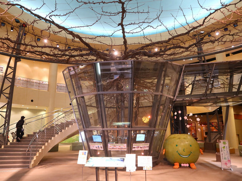 Pear Museum-仓吉市必去景点