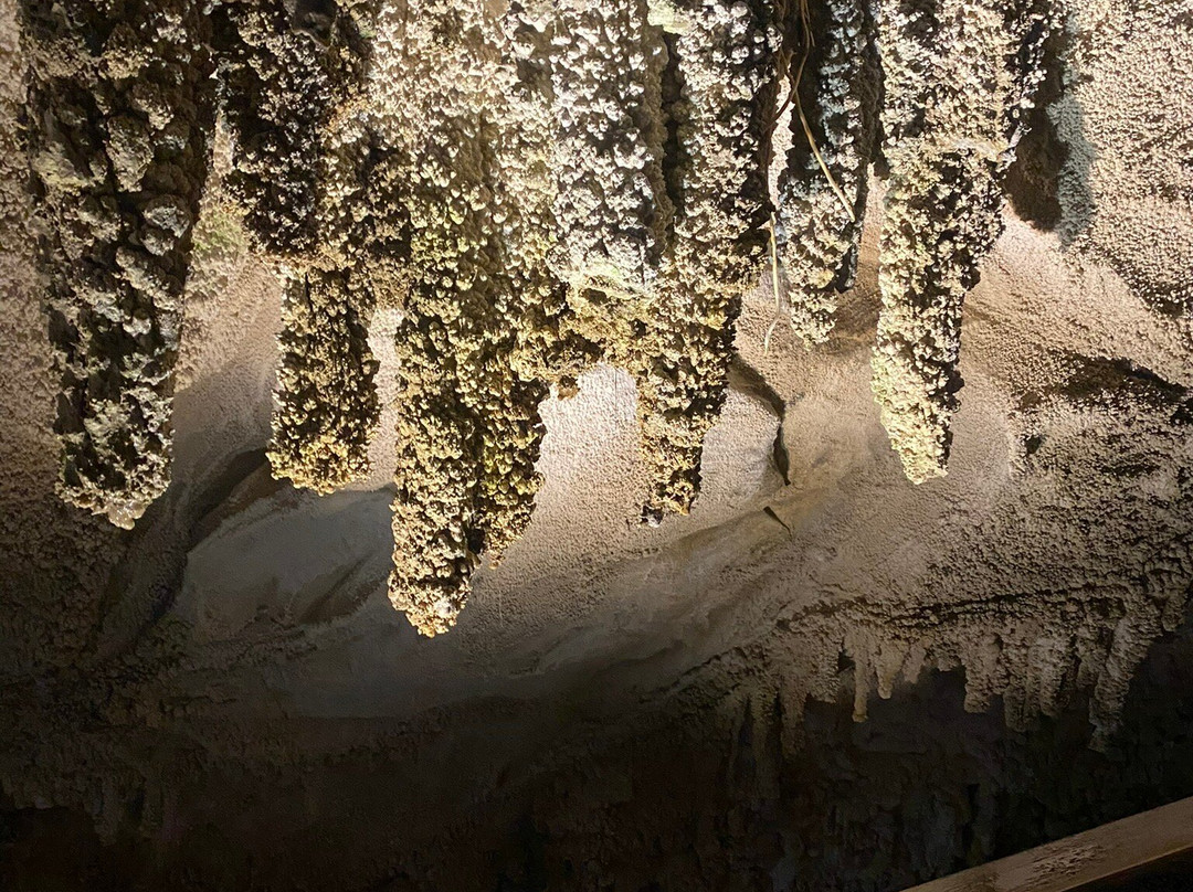 Ngarua Caves-莫图伊卡必去景点