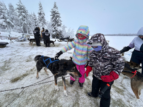Wingrens Dogsafaris-Kongas必去景点