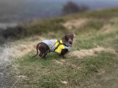 Holcombe Hill-Ramsbottom必去景点