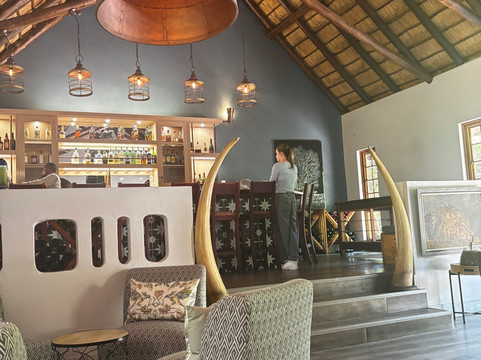 African Safari Group-开普敦必去景点