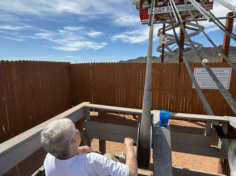 Rooster Cogburn Ostrich Ranch-Picacho必去景点