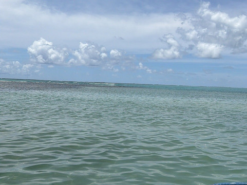 Piscinas Naturais-Sao Miguel dos Milagres必去景点