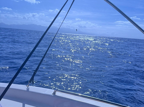 Shelltone Whale Project-Pointe-Noire必去景点