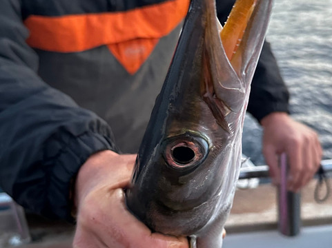 Tortuga Fishing Lanzarote-兰萨罗特必去景点