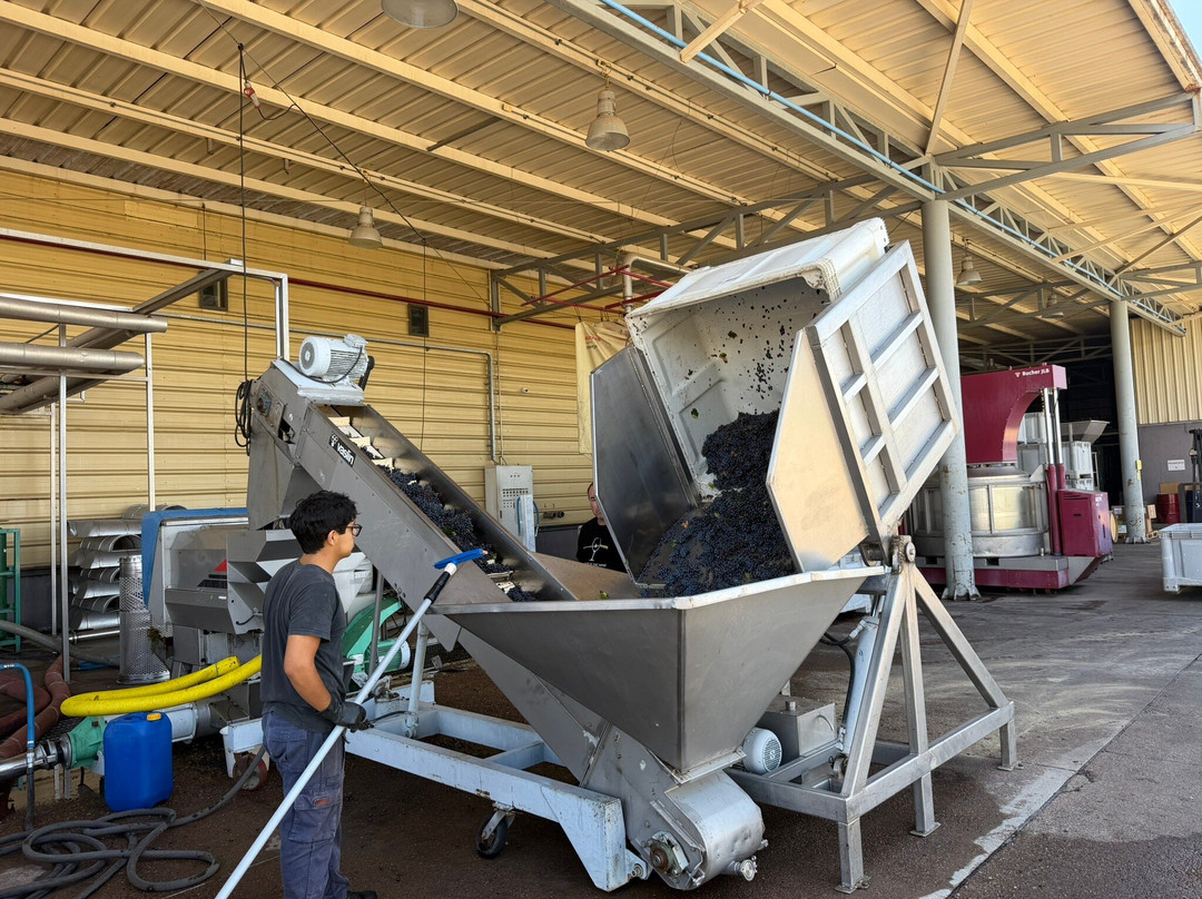 Tapiz Winery-阿格雷洛必去景点