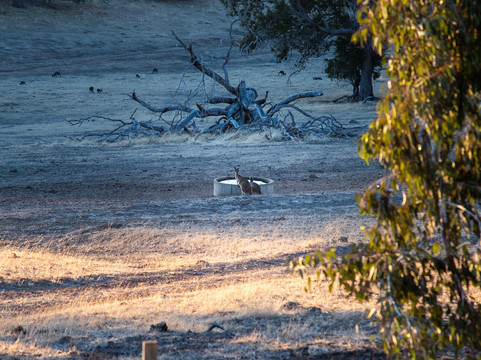 野木山谷酒店主图