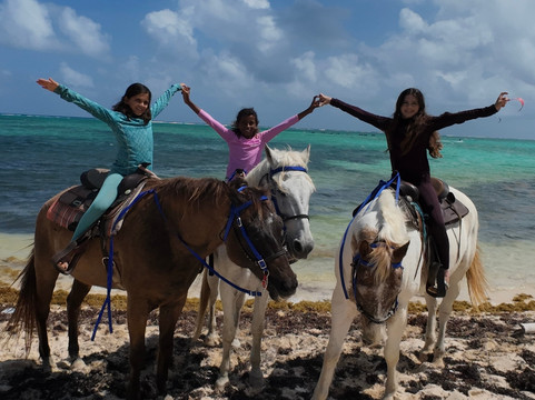 Cayman Horse Riding-西湾必去景点