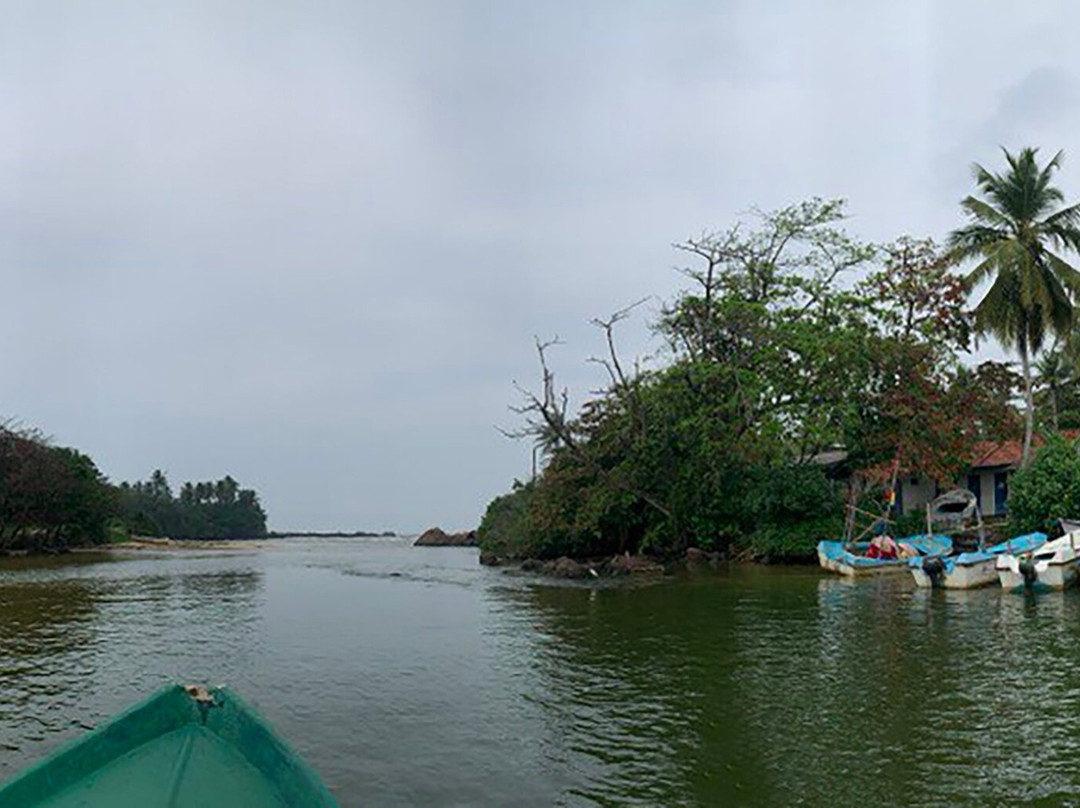 Madu River Safari-巴拉碧提雅必去景点