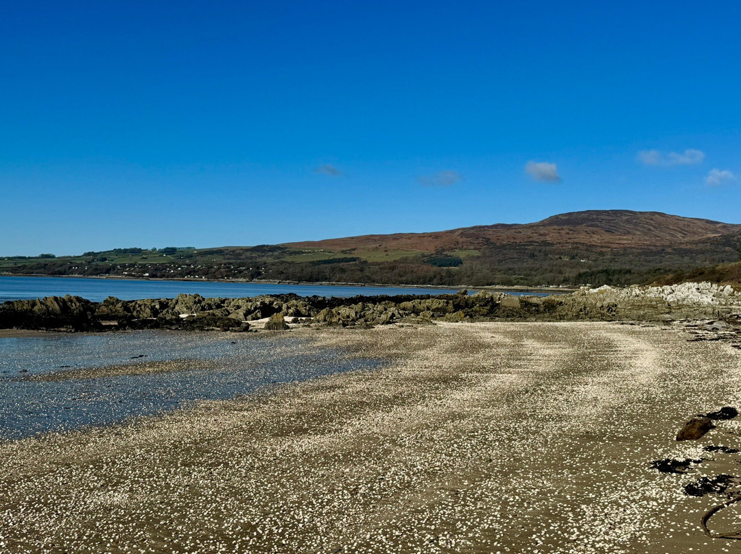 Sandgreen Caravan Park