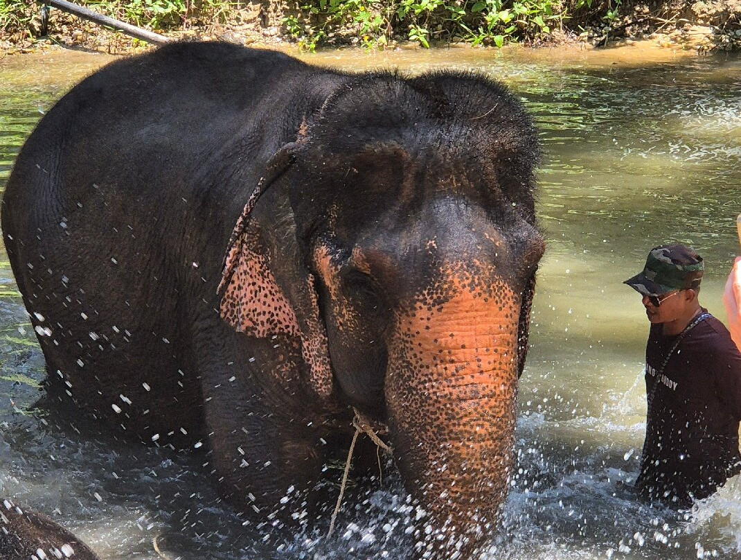 Supaporn Elephant Camp-Bang Muang必去景点