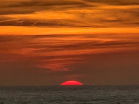 Florida Orange Groves and Winery-圣彼德斯堡必去景点