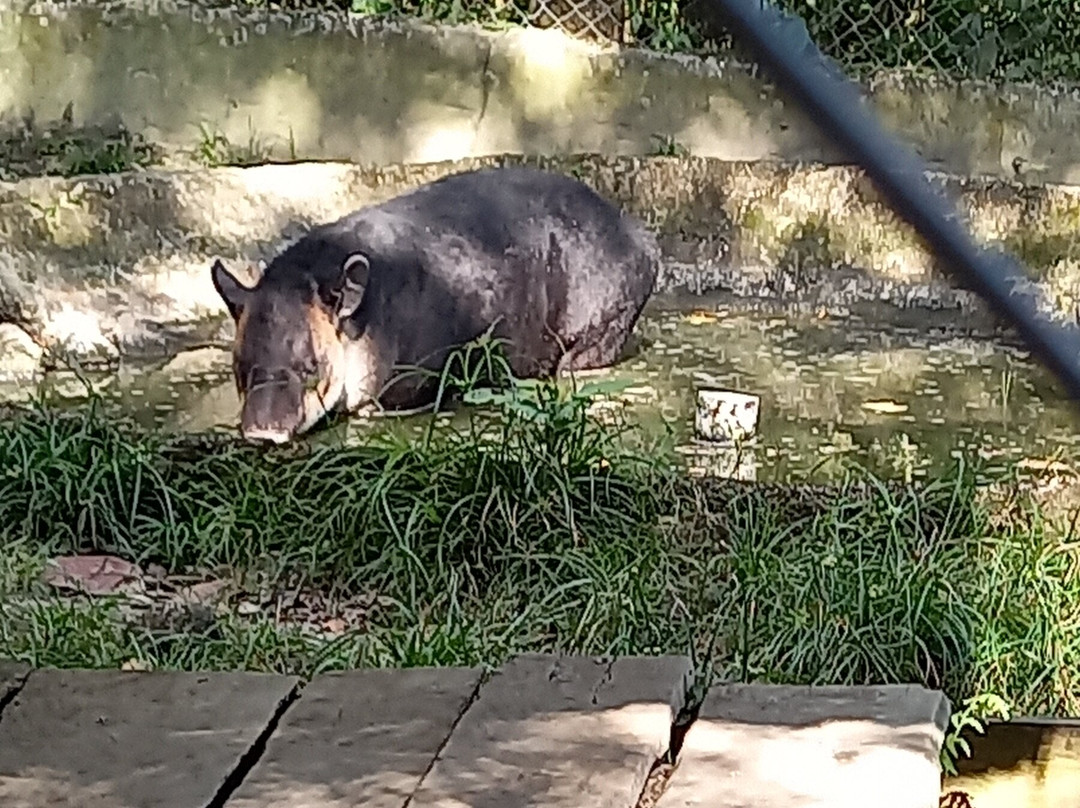 El Nispero Zoo and Botanical Garden-安东谷必去景点