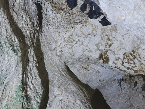 Cayman Crystal Caves-大开曼岛必去景点