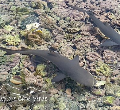 Explore Cape Verde-圣塔玛丽亚必去景点