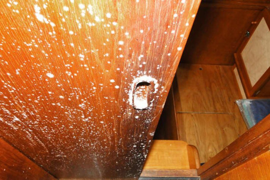 Friedrichstädter Grachtenfahrt-Friedrichstadt必去景点