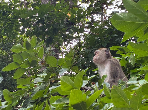 Belinda Boat Tour-贝尔马尔必去景点