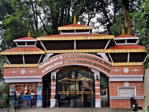 Padmaja Naidu Himalayan Zoological Park-大吉岭必去景点