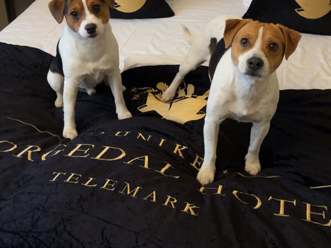 莫格达尔酒店主图