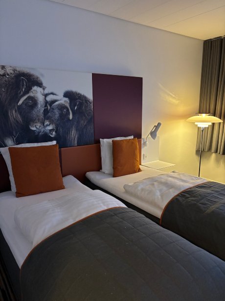 汉斯史吉德酒店-官方