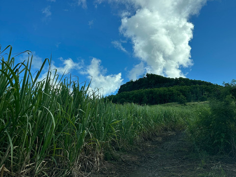 Nature Trails Mauritius-卡特勒博尔纳必去景点
