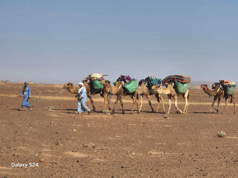Loud Sahara Day Tours-扎古拉必去景点